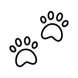 Kattenvoer